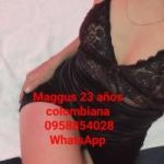 MAGGUS 0958854028