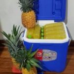 REFRESCANTE BEBIDA DE PIÑA 100% NATURAL / 500 ML 0997956720