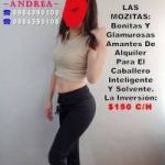 LE INVITAMOS A ESTRENAR UNA ANGELICAL DEBUTANTE