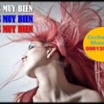 Atiende Y Relaciónate Con Personalidades De Alto Nivel 