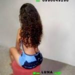 Luna Recién Llegada Encanto Natural En Quito Norte