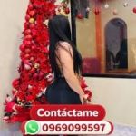 Todo el sur 0969099597