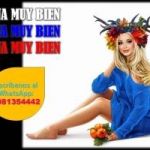Vive La Experiencia De Trabajar Con Clientes VIP 
