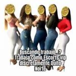 Trabajo de acompáñate vip discreto Quito norte 
