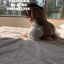 PLACER INFINITO CON UNA BELLA SCORT LISTA PARA TI