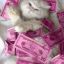 hoy 2x1 en vergas de quitumbe olivia la mas golosa la mama de todas las zorras 0969099597 quitumbe jardines de ninallacta 