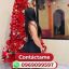 Todo el sur 0969099597