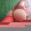 REALES jovencitas NO VIEJAS OJO QUITEÑAS 100% DE CASA INDEPENDIENTES QUITUMBE GUAMANI CHILLOGALLO 20$$ 0983501067