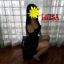 ¡Prepárate Para Ser Hipnotizado! Luisa Te Visita Con Lencería 