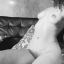 VAGINITA ESTRECHITA ORAL Y ANAL PROFUNDO TE ESPERA 