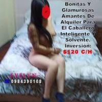 MOZITAS ELEGIDAS CUIDADOSAMENTE PARA EL GUSTO DE CABALLEROS PREFERENCIALES