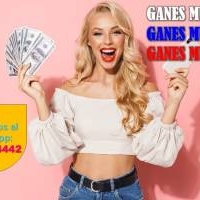 Da El Paso Que Cambia Tu Presente: Ingreso Diario, Entorno Elegante