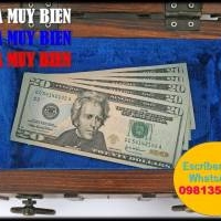 Paga Tus Estudios, Date Gustos, Sé Independiente