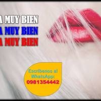 Gana Muy Bien Sin Exponerte Ni Arriesgar Tu Imagen 