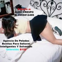 Romance Exclusivo Para Caballeros De Buen Gusto 
