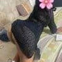 0992825599 SUR KITO 24HORAS LUNES DE PROM SOLO 20$ LORENA SIN AGENCIAS MAÑOSAS QUITEÑA DE CASA COMPLACIENTE AJAVI PINTADO LA MENA